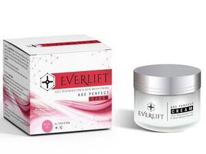 Everlift - Malaysia